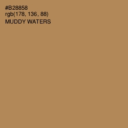 #B28858 - Muddy Waters Color Image